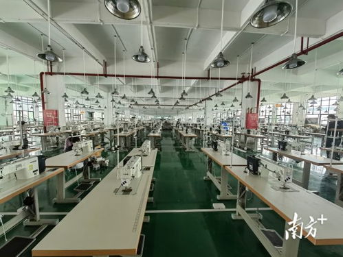 廣東AI賦能產(chǎn)業(yè)升級(jí) 以科技信息咨詢服務(wù)引爆融合新優(yōu)勢(shì)